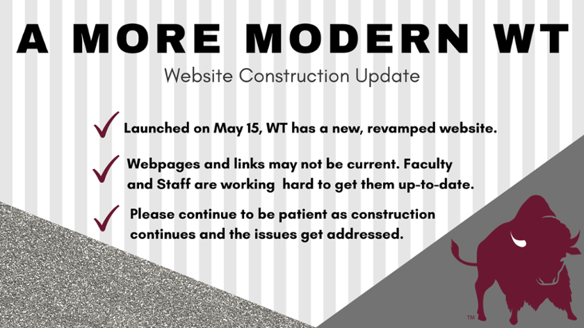 Website Construction Graphic
